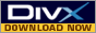 DivX Video 5.1 for Windows