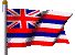 State Of Hawaii Flag